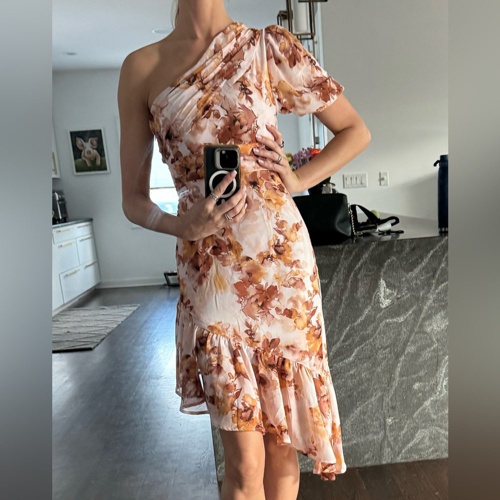 Ramy Brook Floral one shoulder asymmetric ruffle dress NWT size small